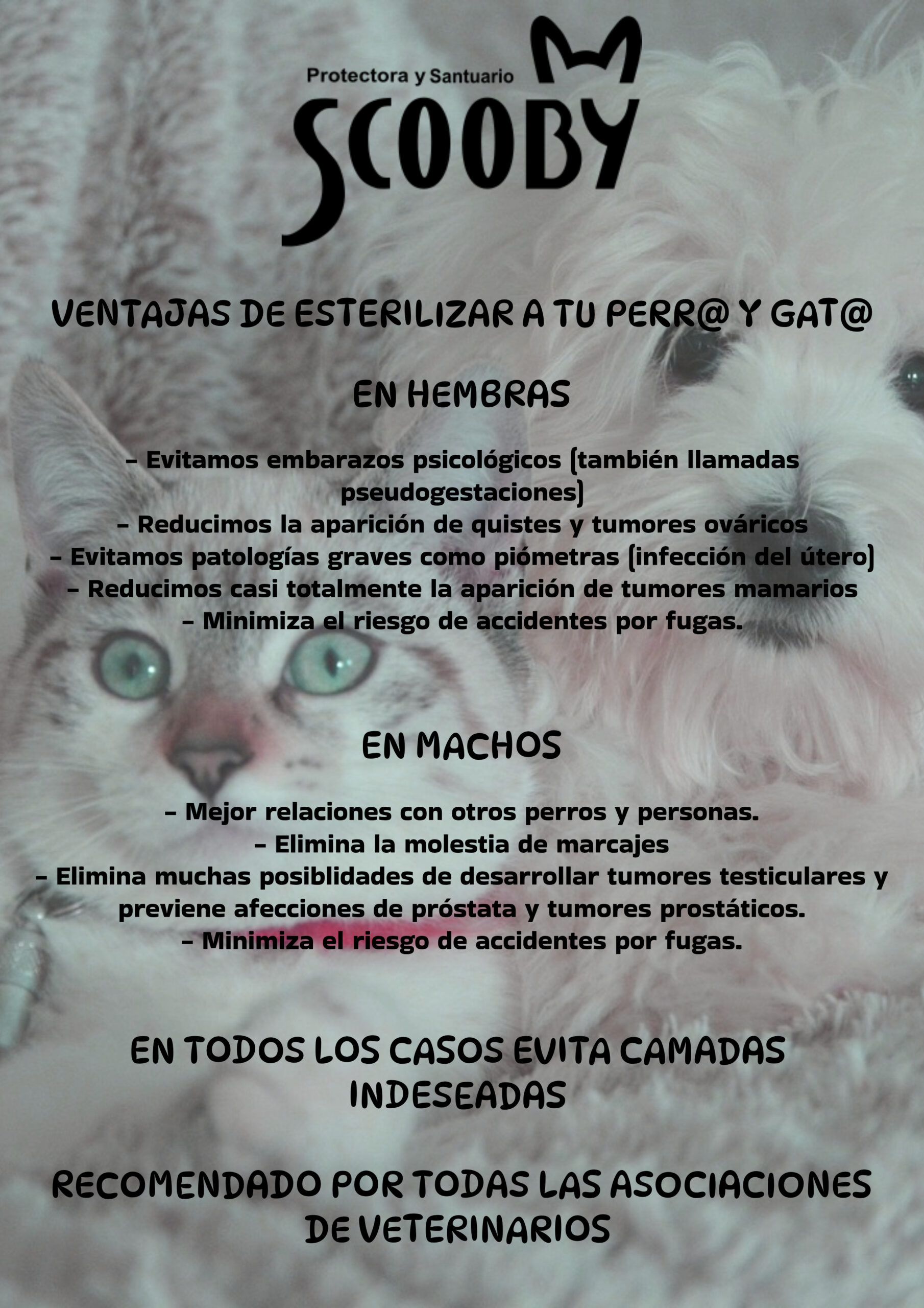 VENTAJAS ESTERILIZACION