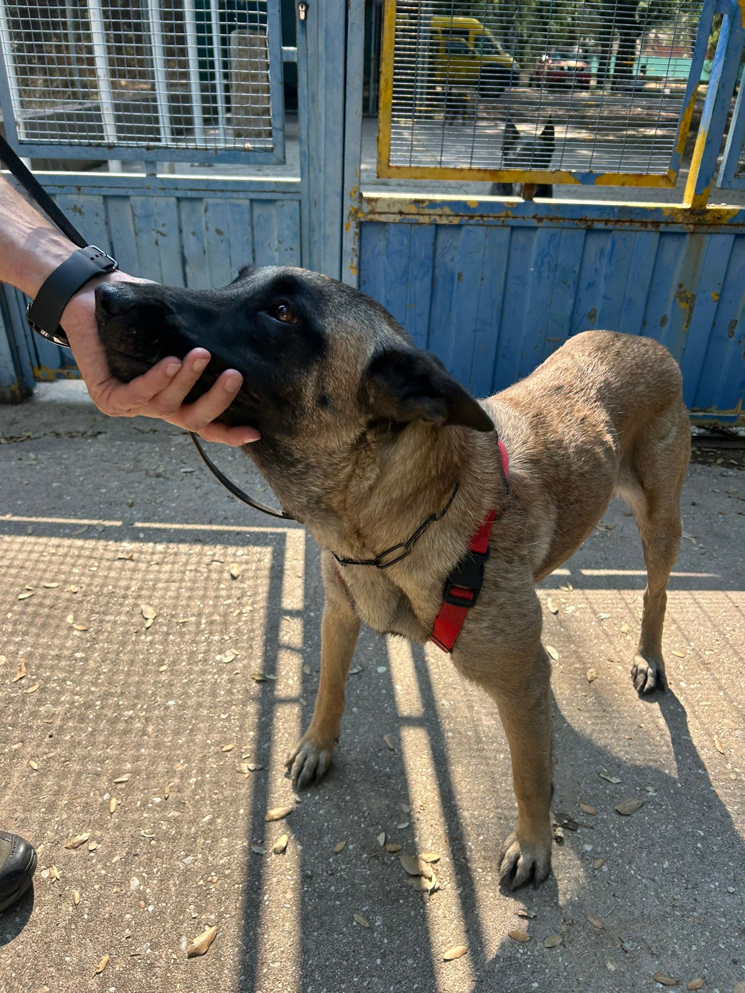 041e3cfc-f01f-482f-959c-9980e22072a2