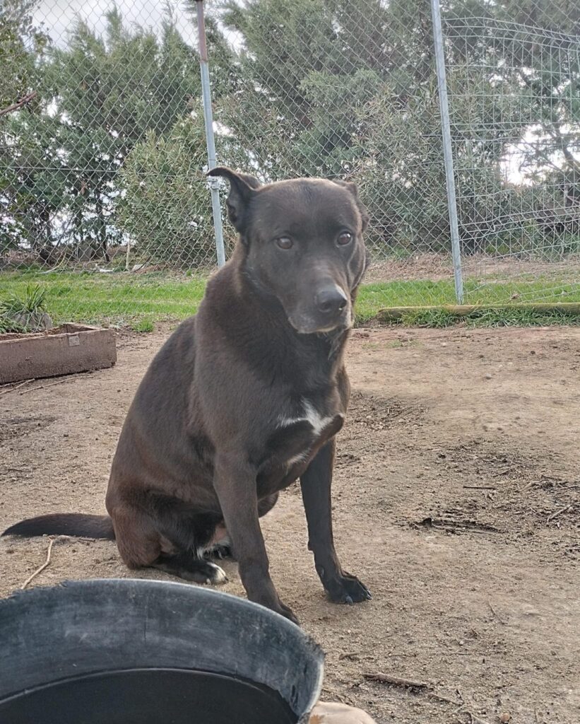 La imagen actual no tiene texto alternativo. El nombre del archivo es: 14730BRUNA.bmp