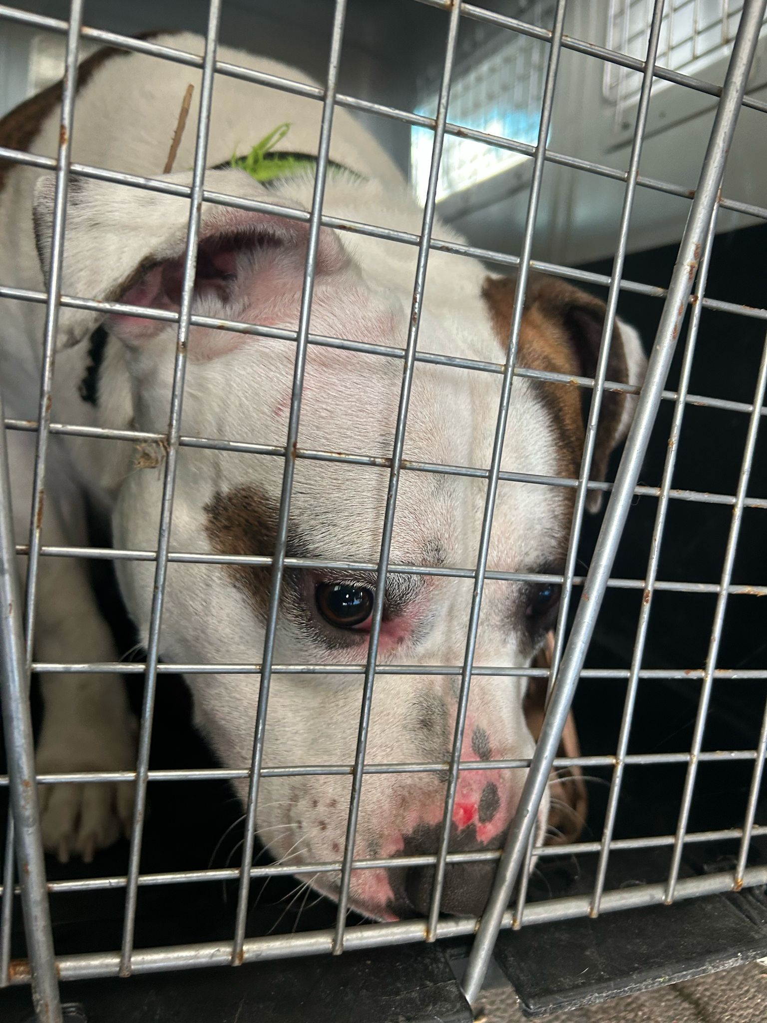 150bba5e-aeac-4c5b-8ee6-69a5974bfd91