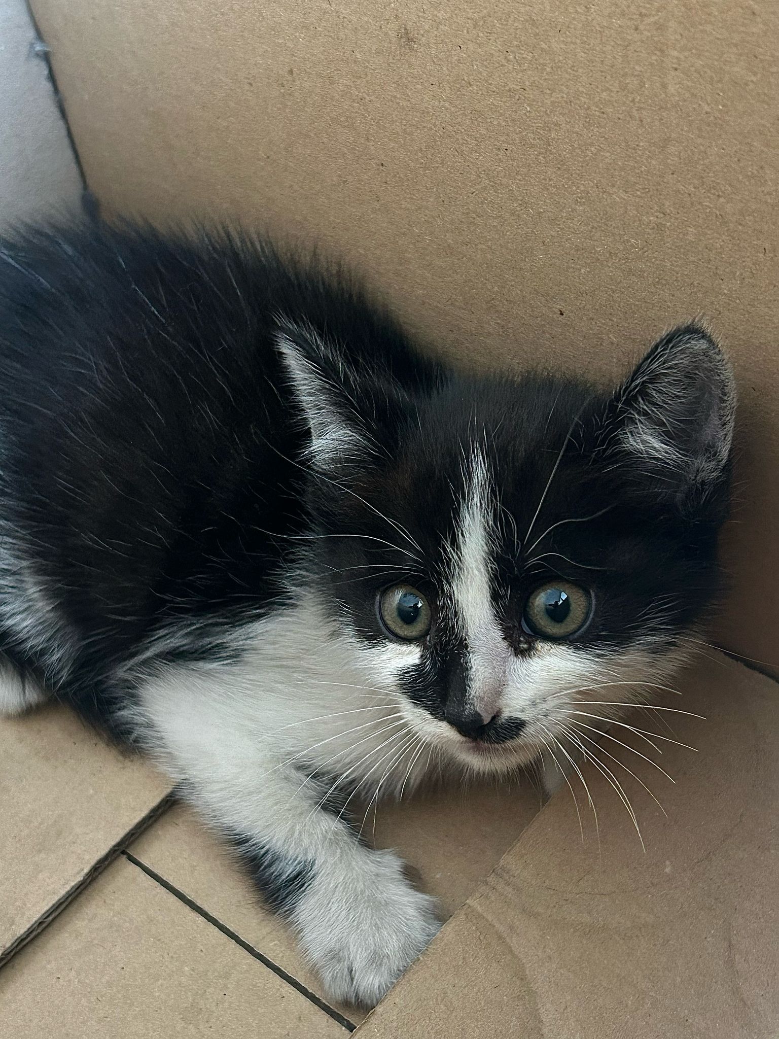 1b121524-2420-441b-9f17-8f89a82b2cf2