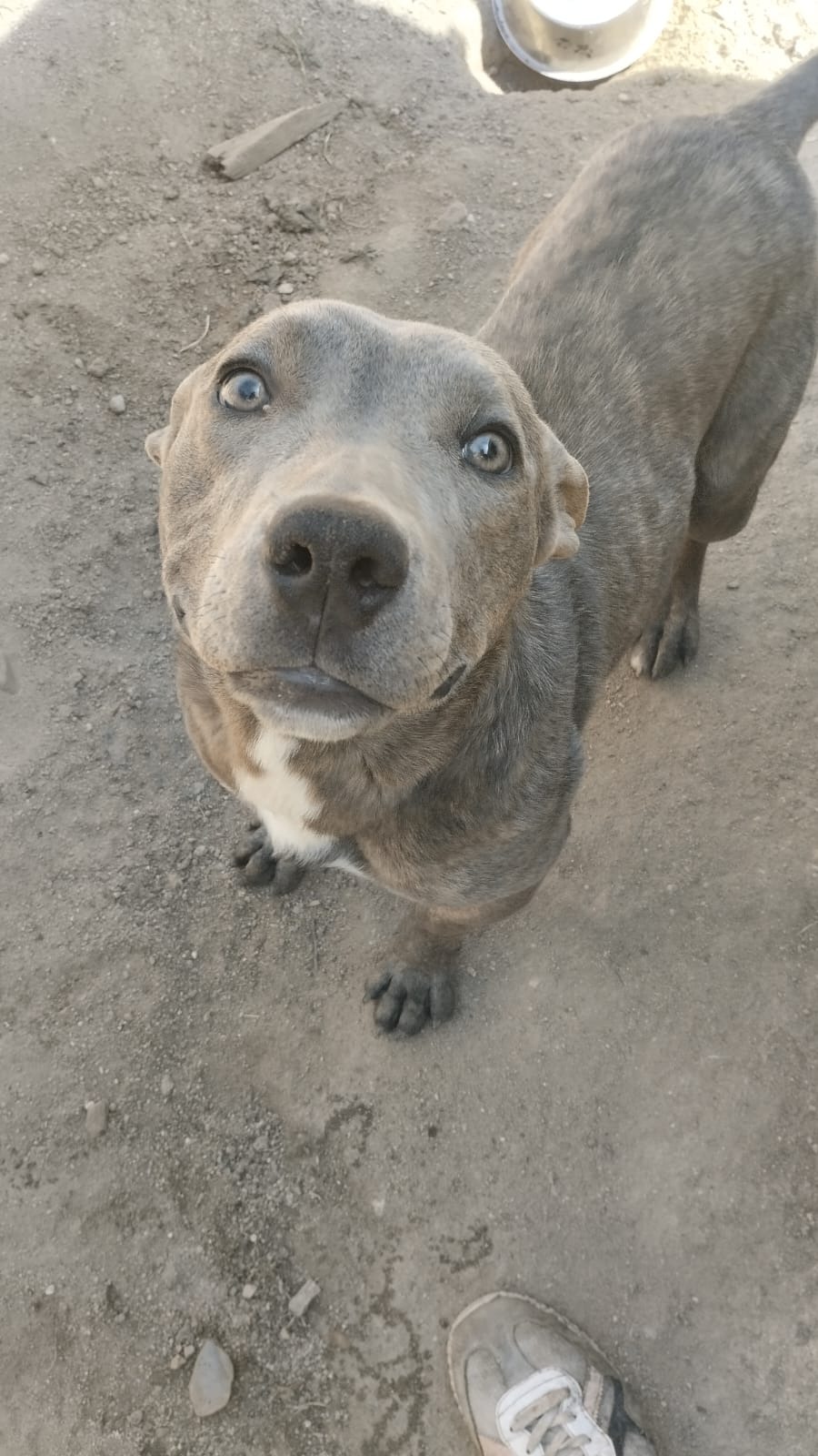 1e47efcc-4106-47ef-be9e-ee500df30375