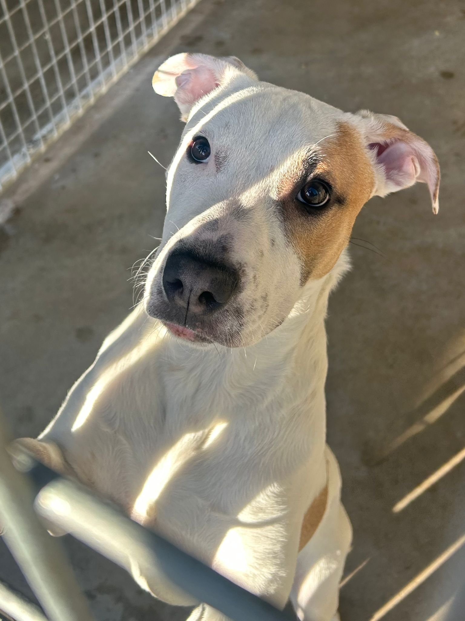 36957b81-28b8-4592-8d25-00f0a5f82e11