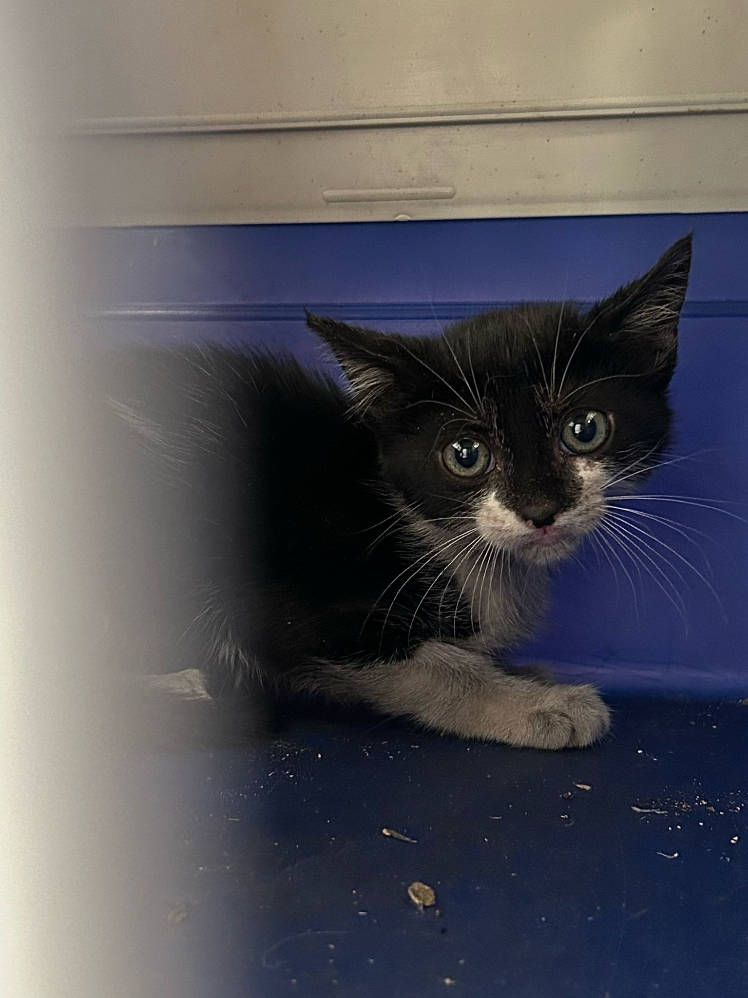 4b6b8336-7436-4bb1-a072-a591e6688eba