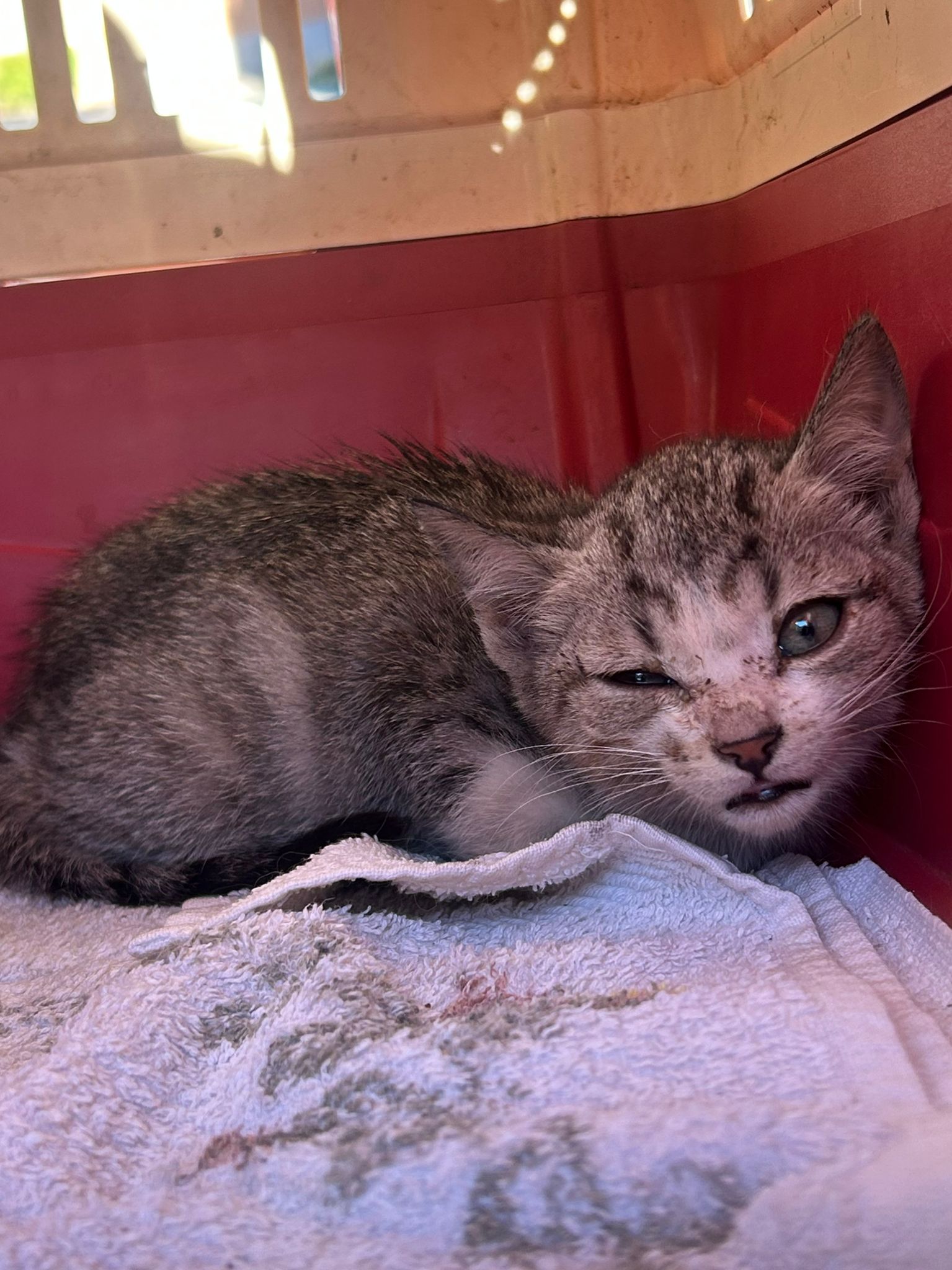 50341382-46d3-4282-af44-c56aa835fcf7