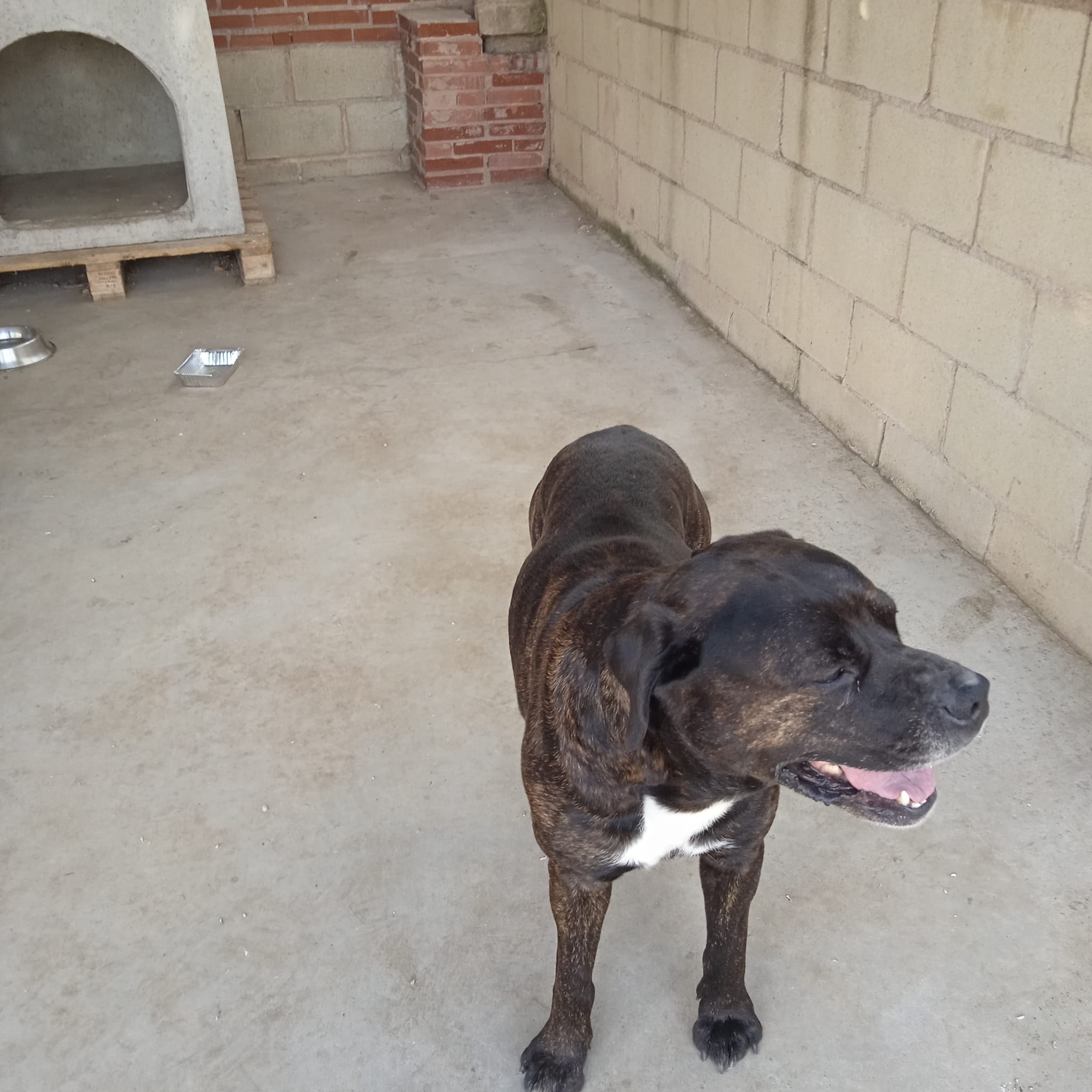 5204f7c8-9838-4775-b44a-c786f1794b9c