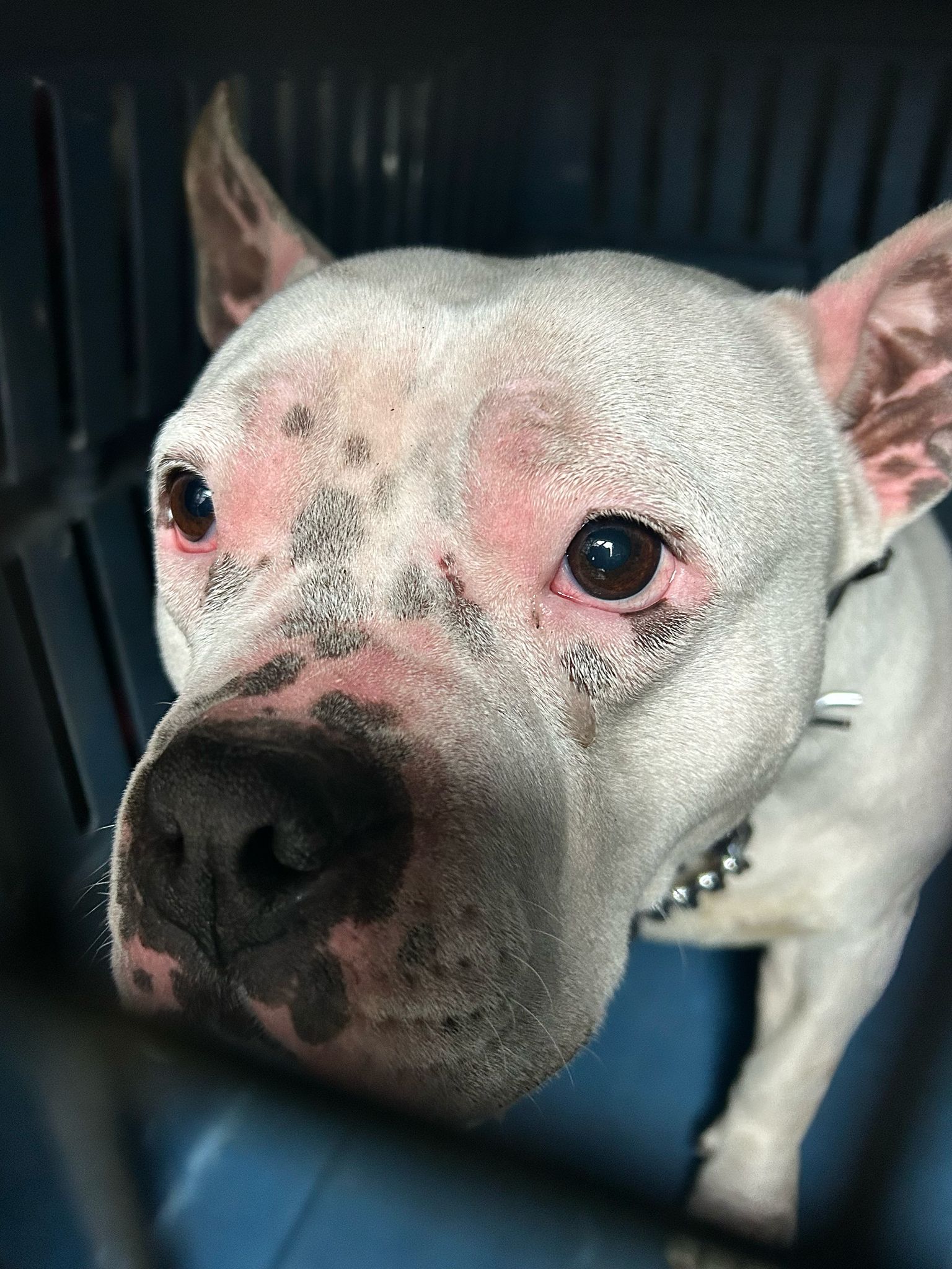 57663e7b-3a51-4533-97f9-d61927ca98f5