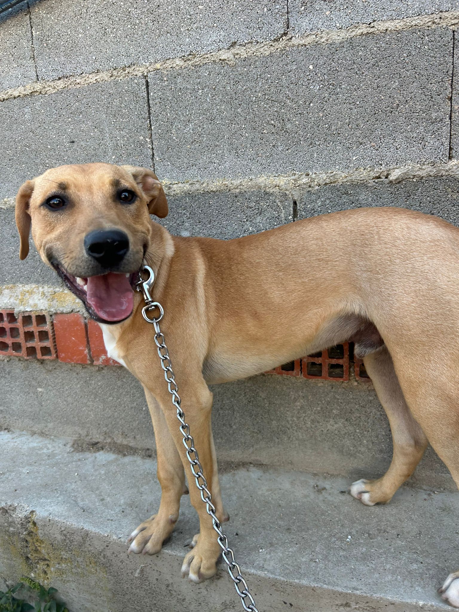 6586f2b9-d2c2-4542-b262-44f766d62b07