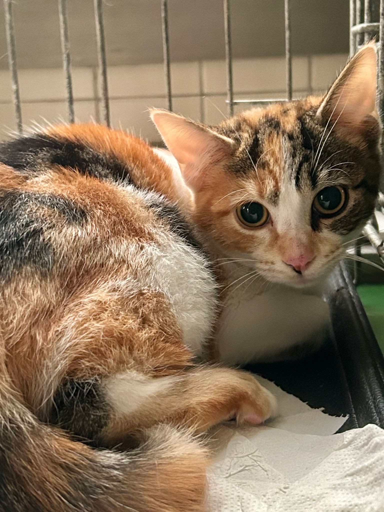 7a6e99d3-8761-4853-983d-5623a3ed345f