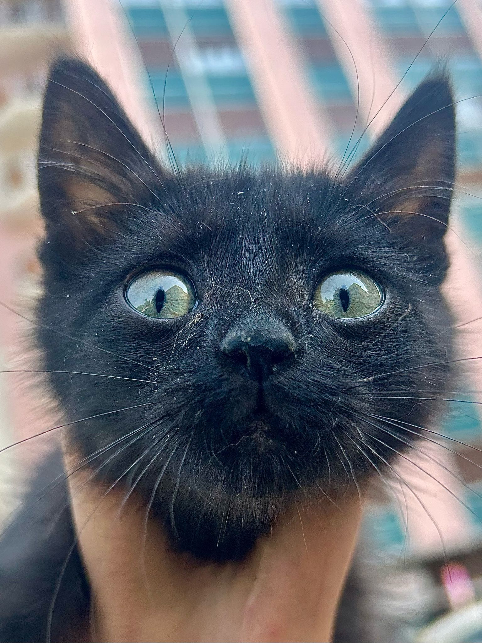 7b275adc-0352-491b-8043-cfdb3378b0a5