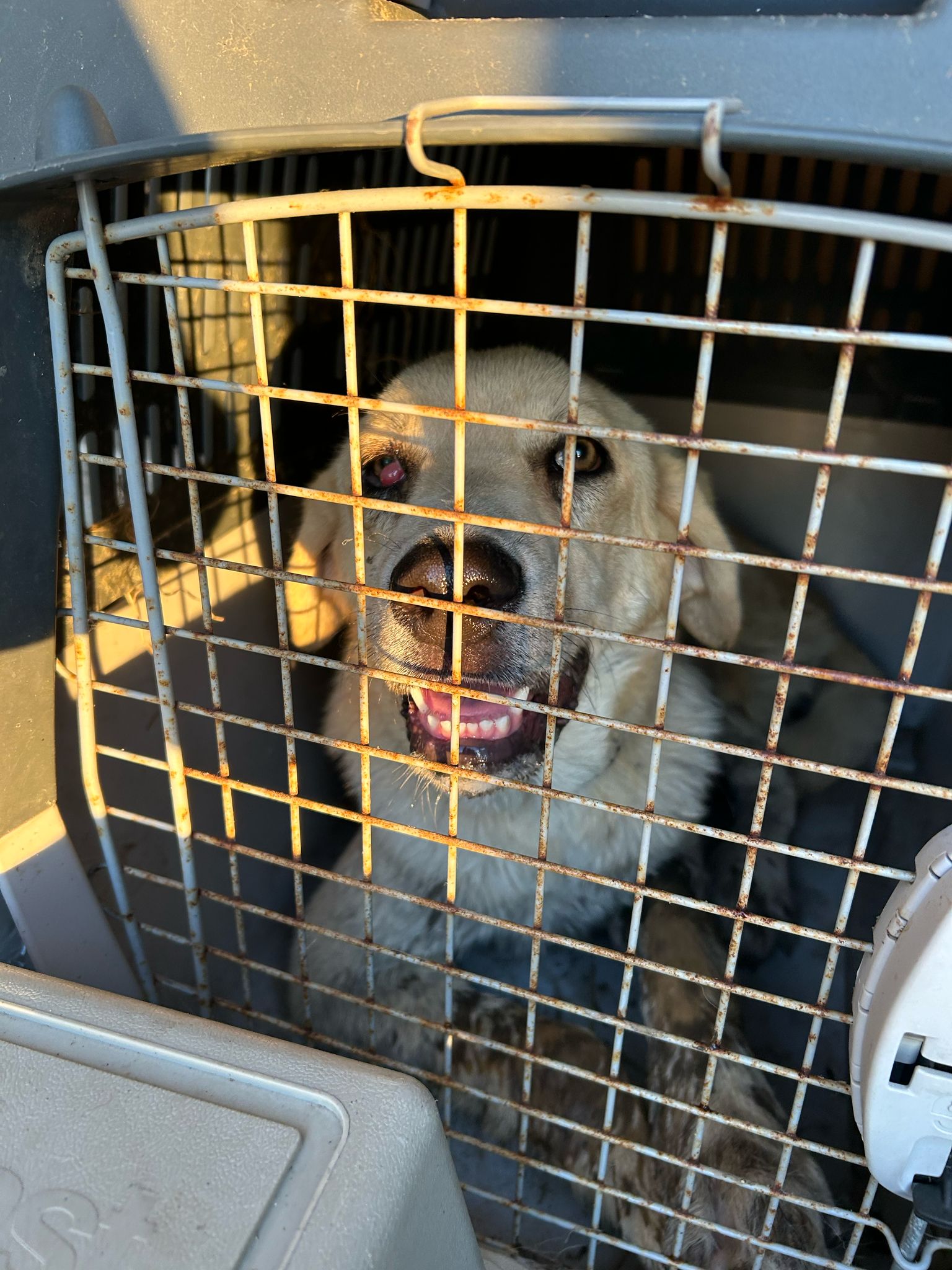 7b46624e-5b06-40c0-841a-3a81e291d187