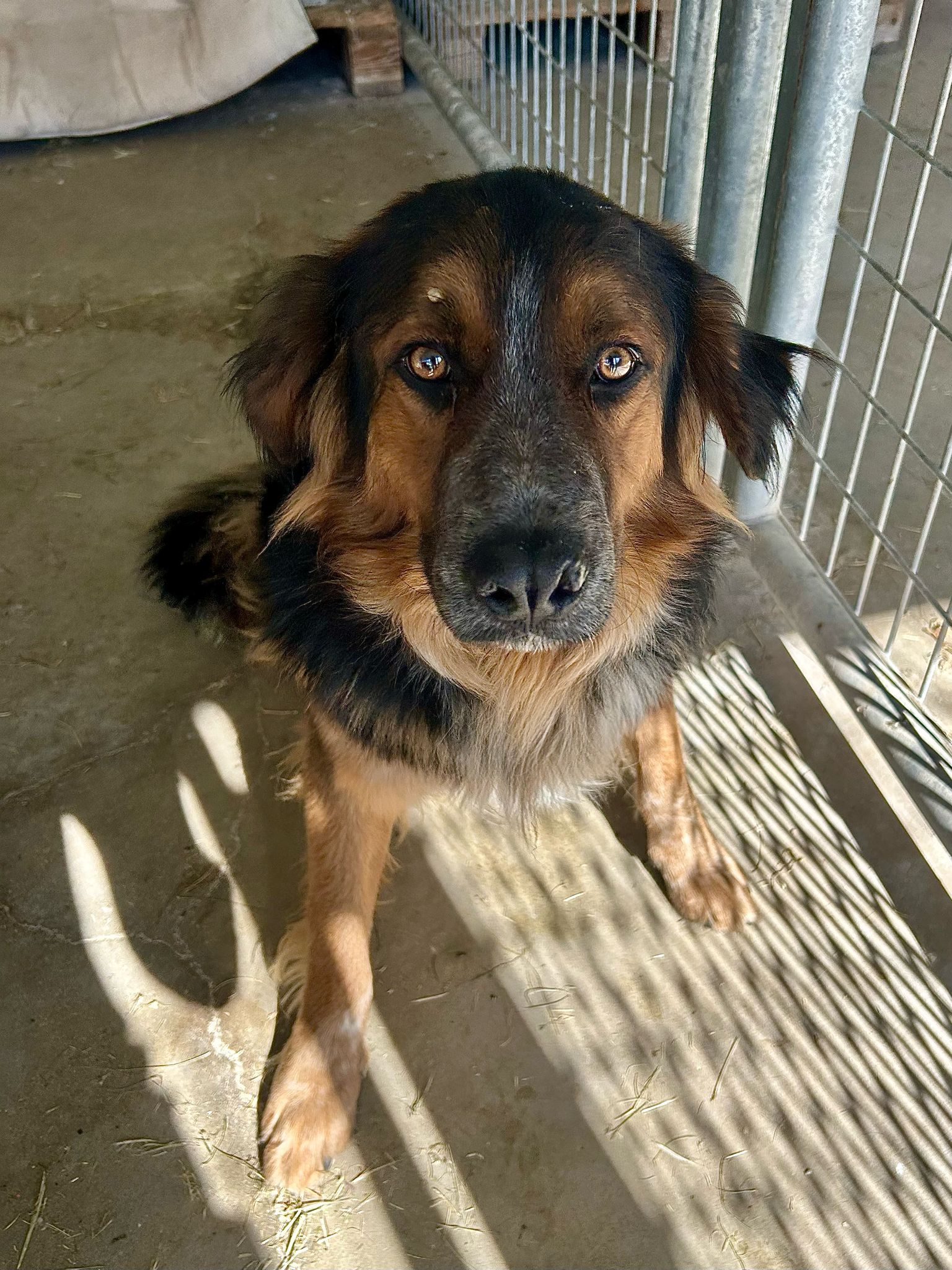 7ccaa57a-bf69-4073-9b99-109682e0348b