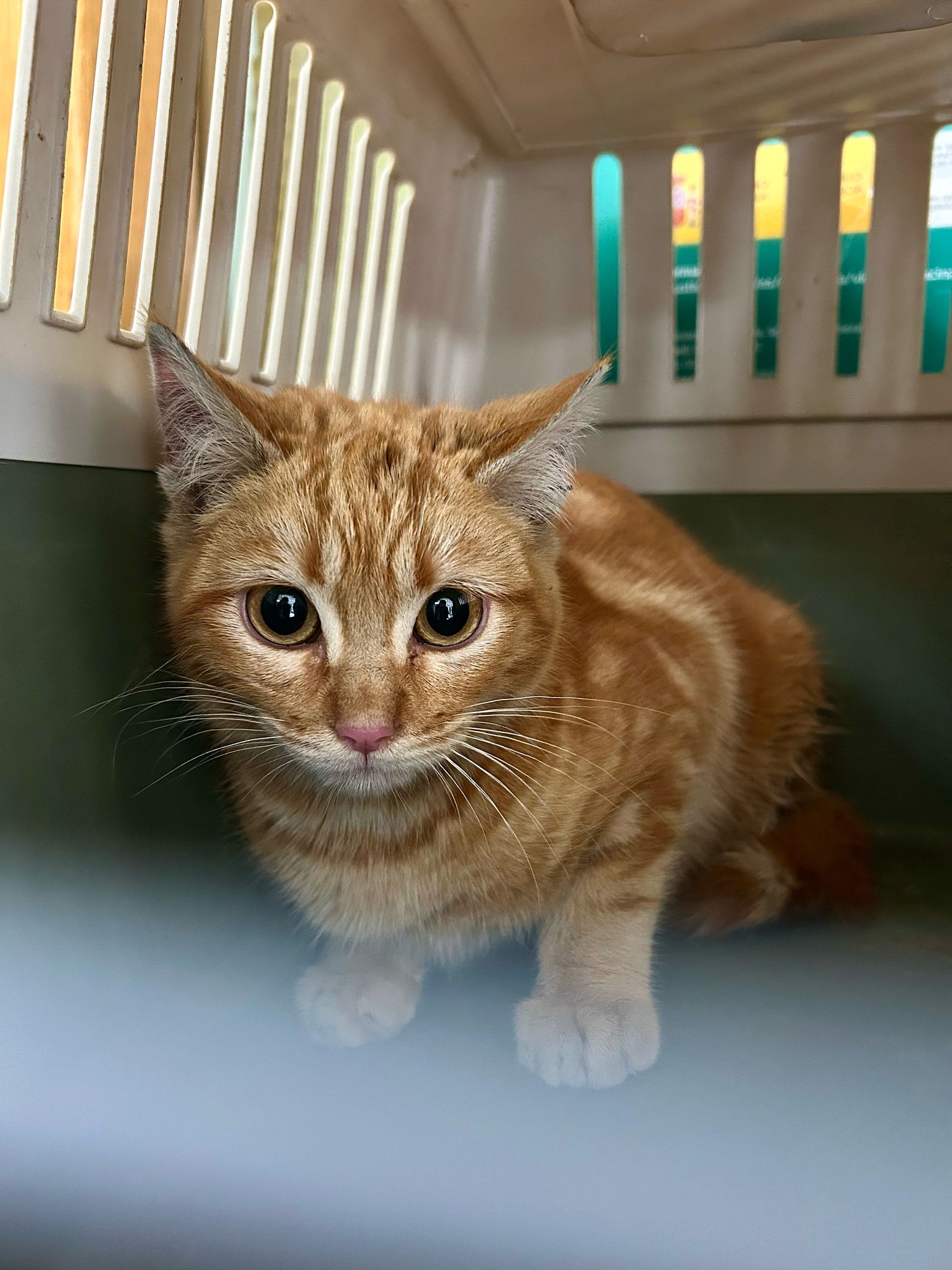 8848414c-051b-4f56-bd37-fbeae2e46161