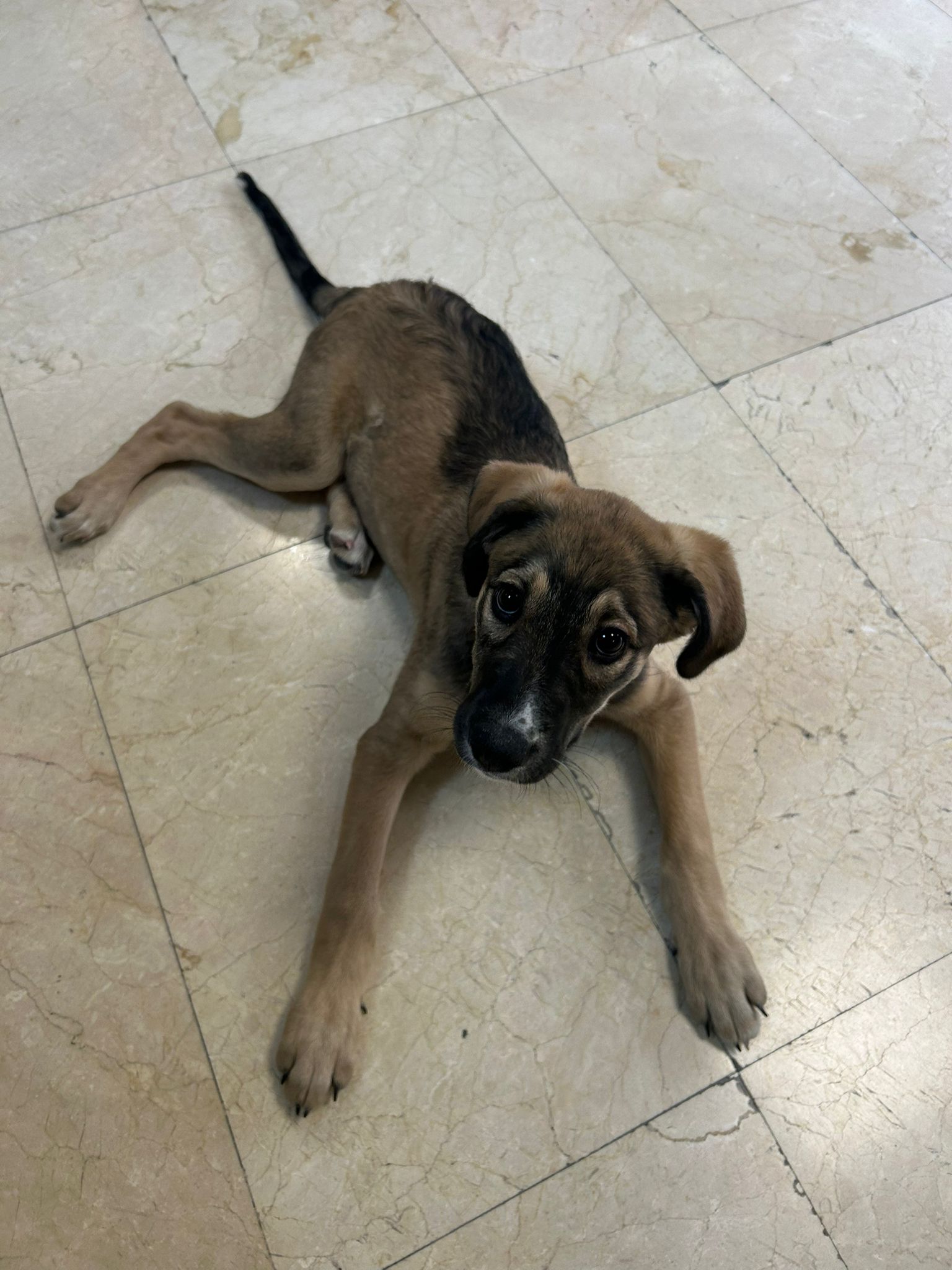 a091ee99-5ead-44de-acd5-9b28b192dec9