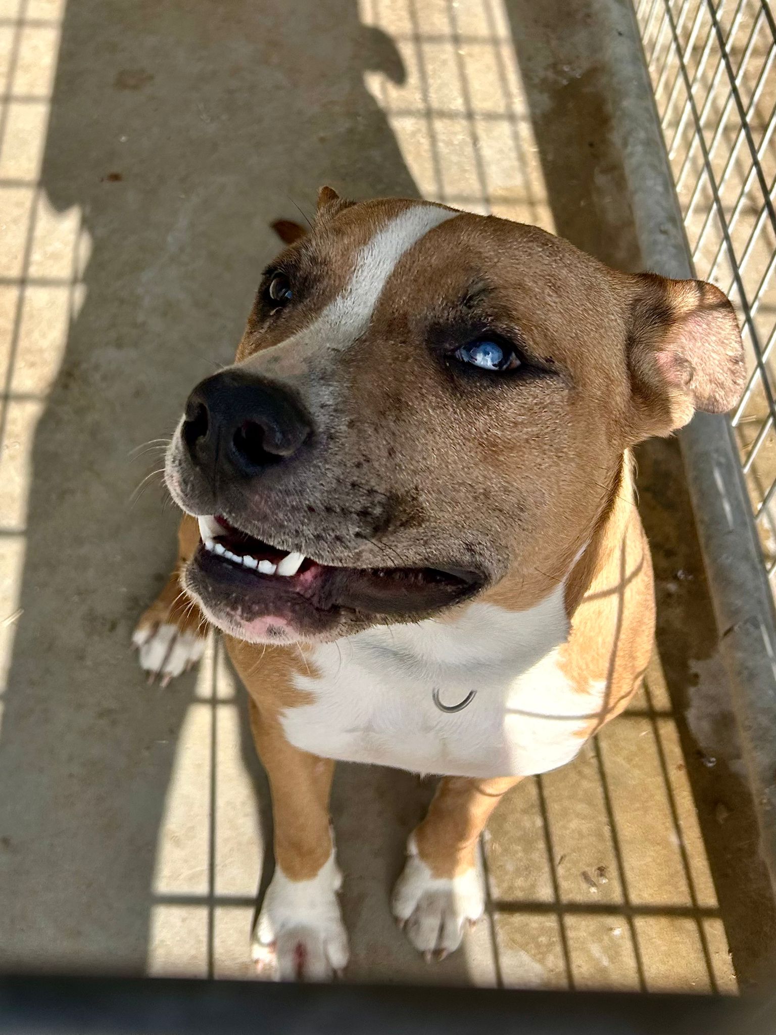 a0df629f-3458-422c-8c99-0085f51f7e29