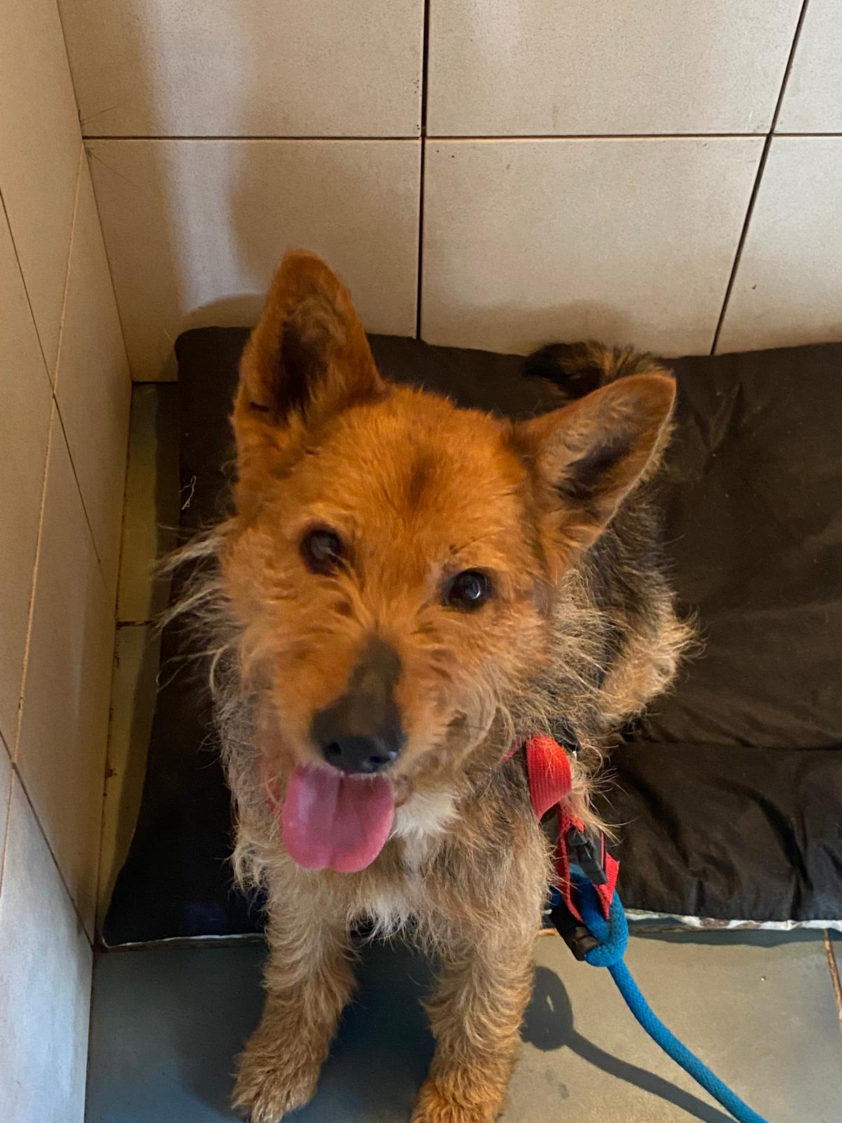 a78719bf-fa71-449a-aeec-4274a198f814