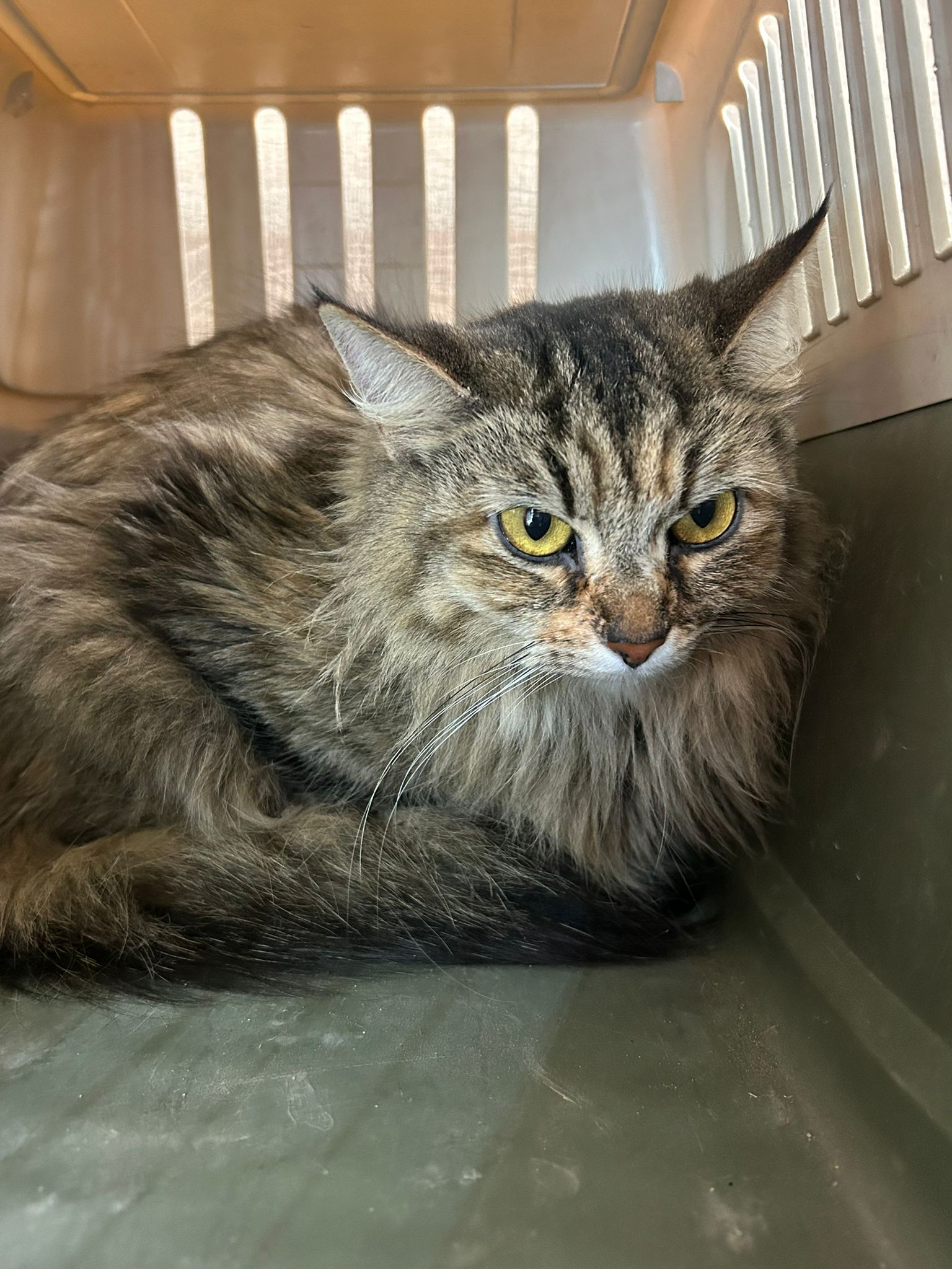 b7c2e02a-d165-4064-b62c-e1e9c0b68c75