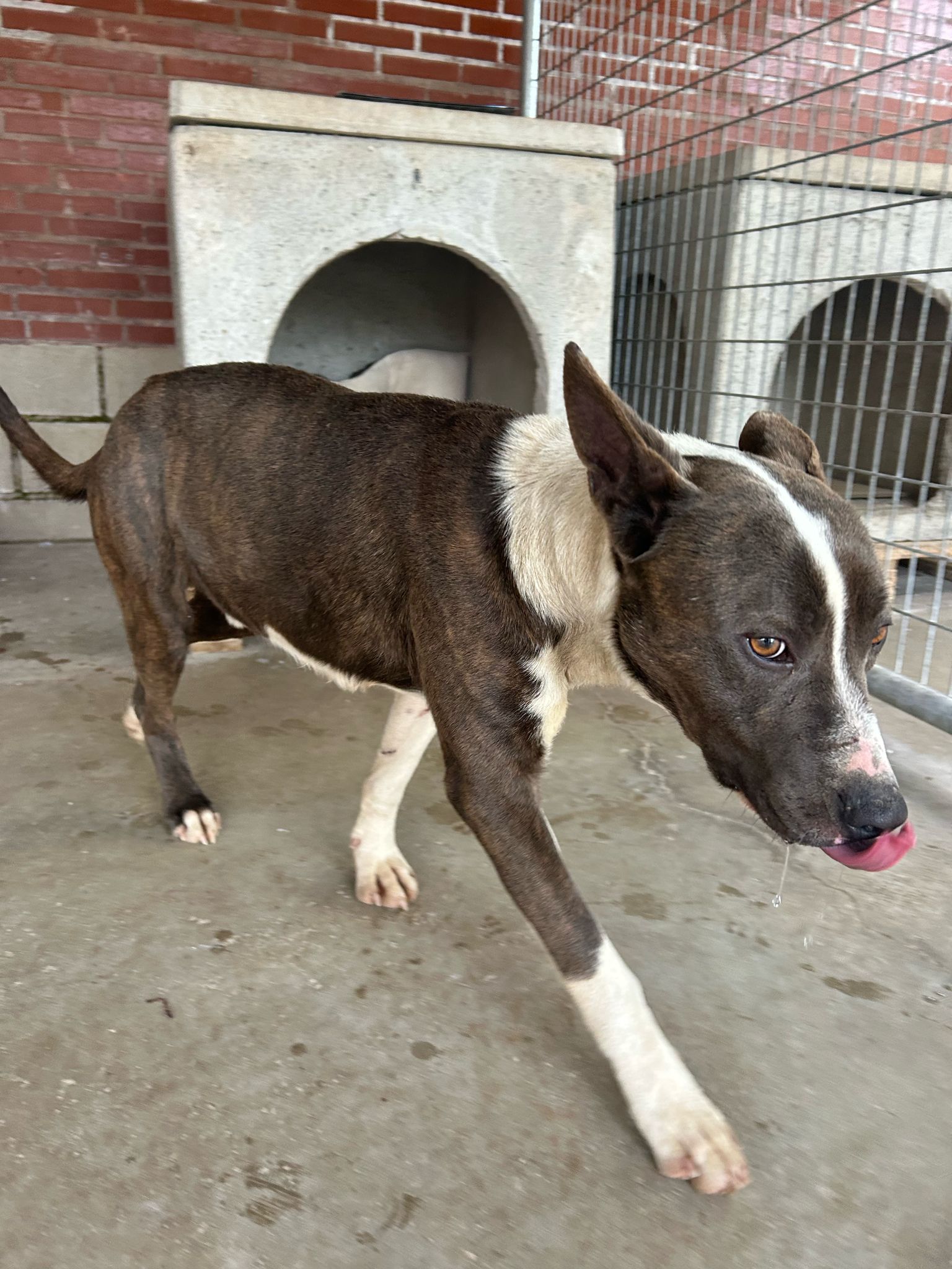 c1483bdf-38cb-42f9-9eef-63f36d2388b9