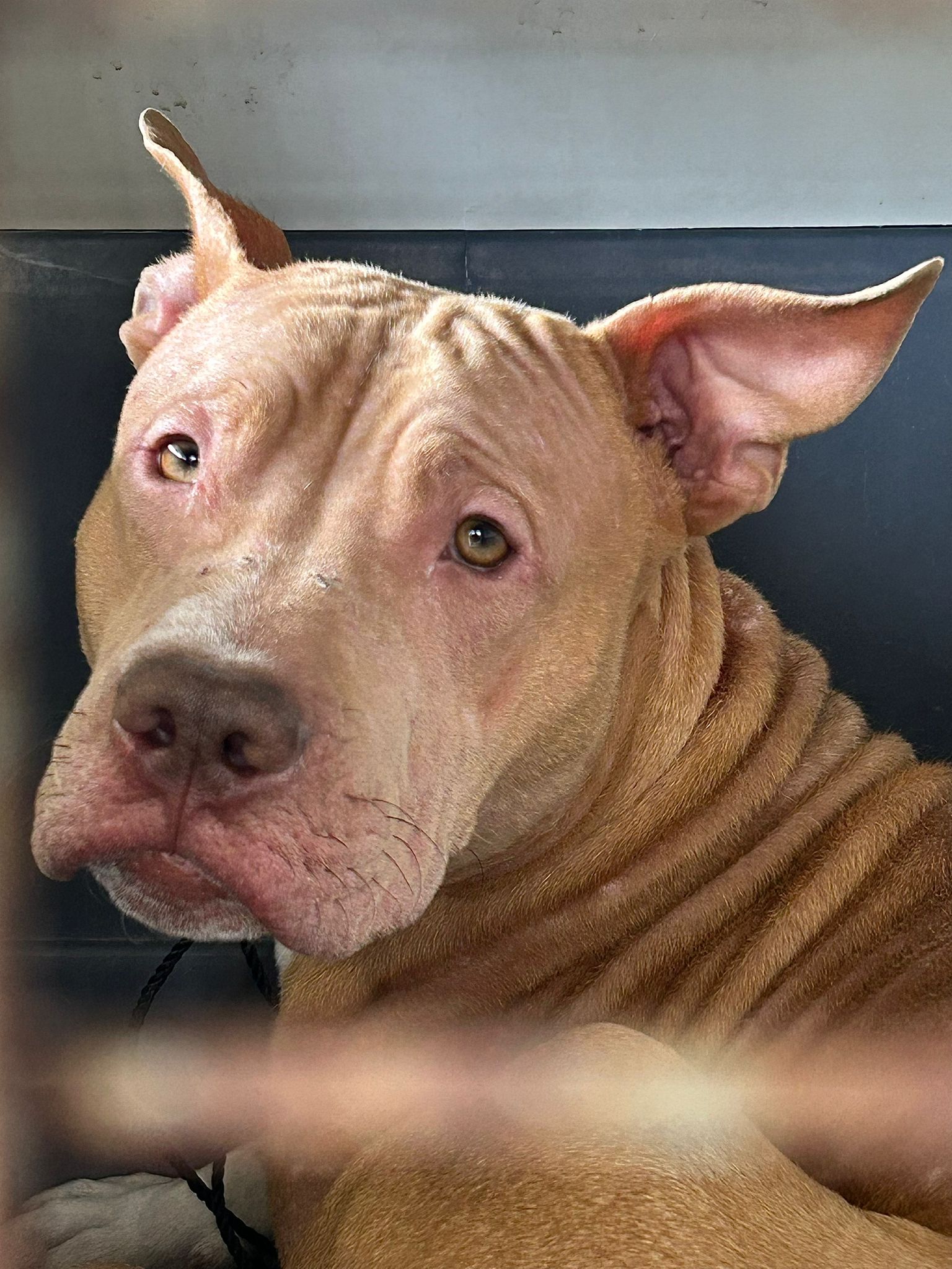 c16603d8-f830-4558-8c08-1c198ce7a94f