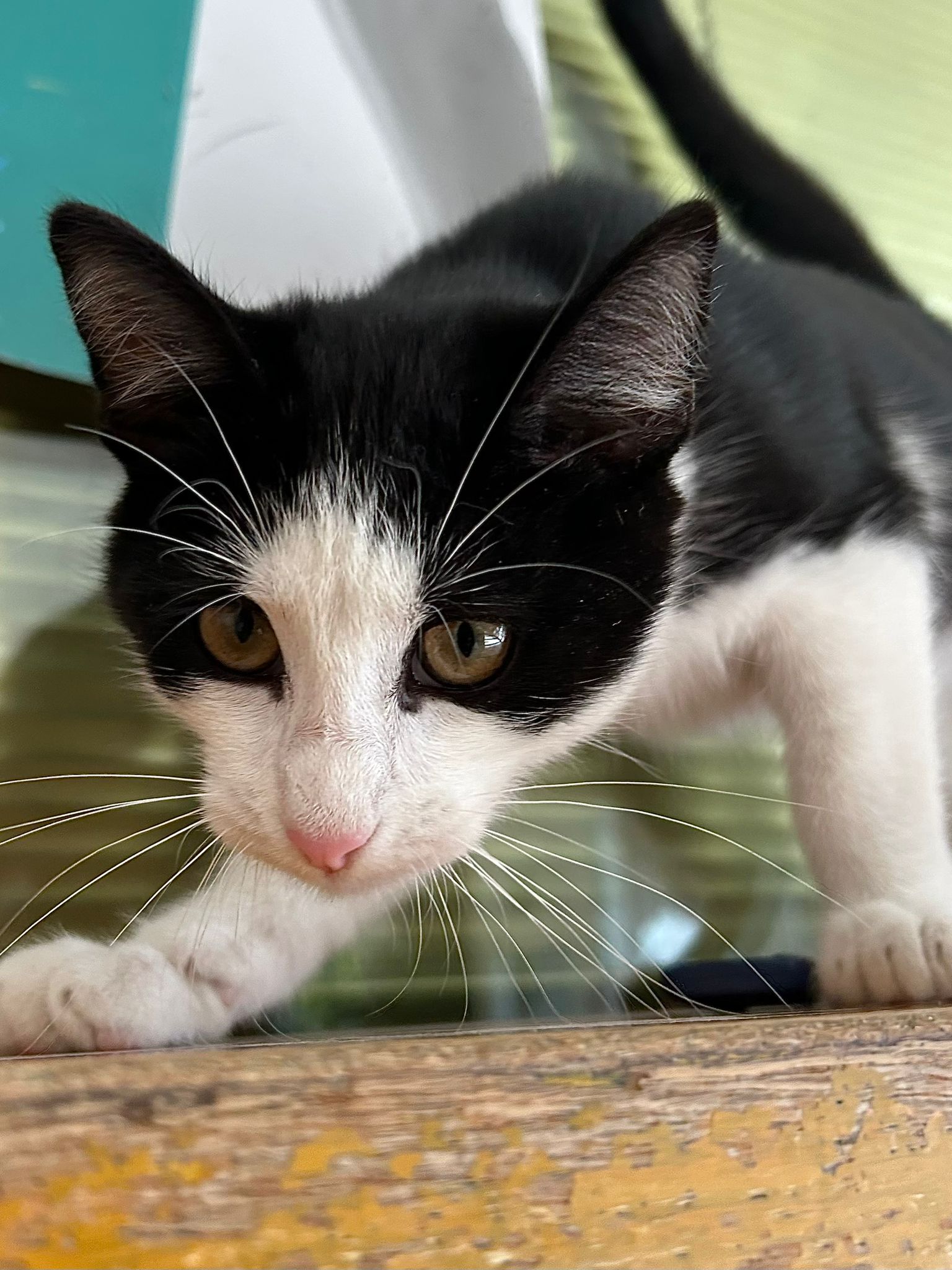 c4c268ad-ead9-40d0-bfda-5f38c7340bca