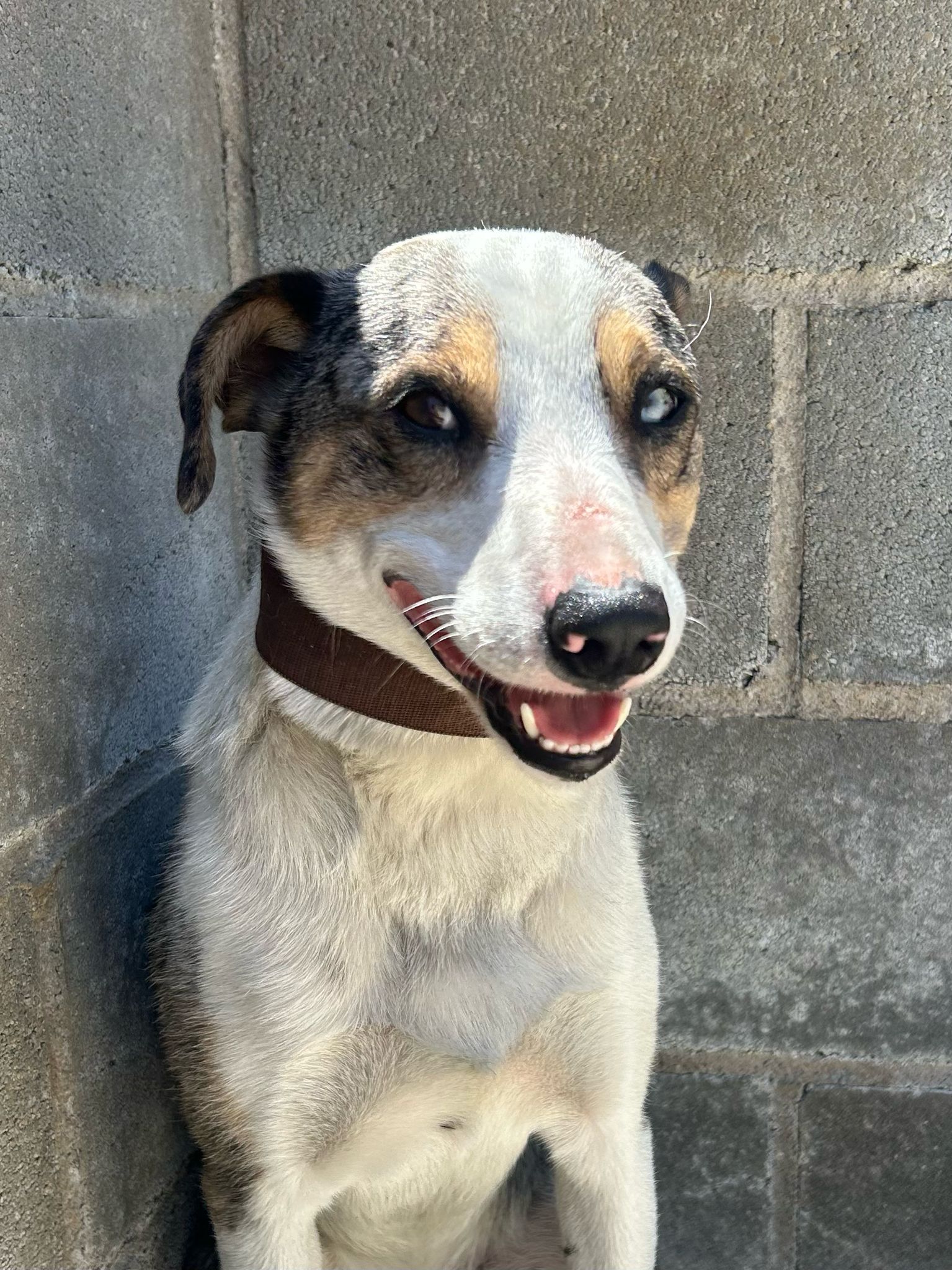 ebe3e59c-901c-4719-b7c1-f94f9563e00c