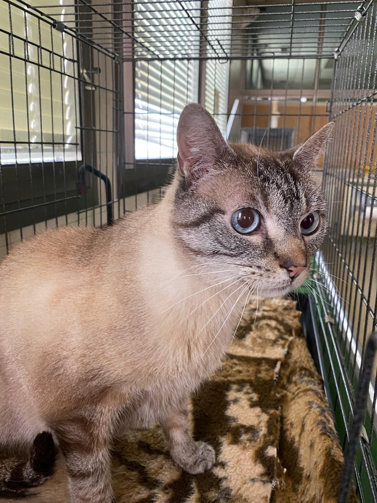 f77bbca0-9ef7-4711-bedd-d671df957cfc