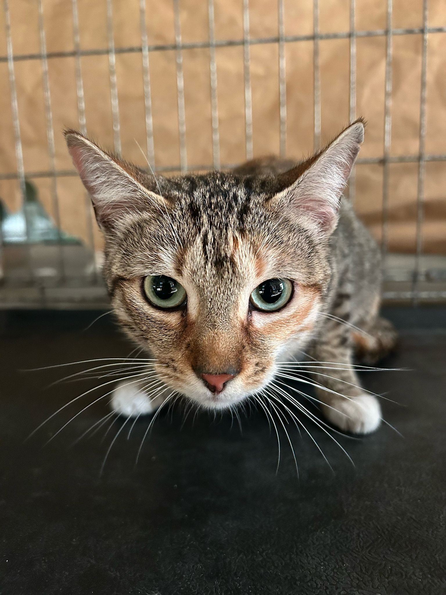 fa21c82d-8d80-4b7a-8027-bb938242aa0b